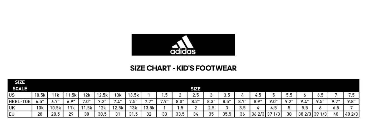 adidas Outdoor Kids Terrex AX2R (Little Kid/Big Kid)