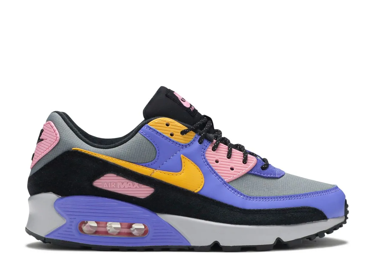 Nike Air Max 90 ACG Persian Violet (WORN)