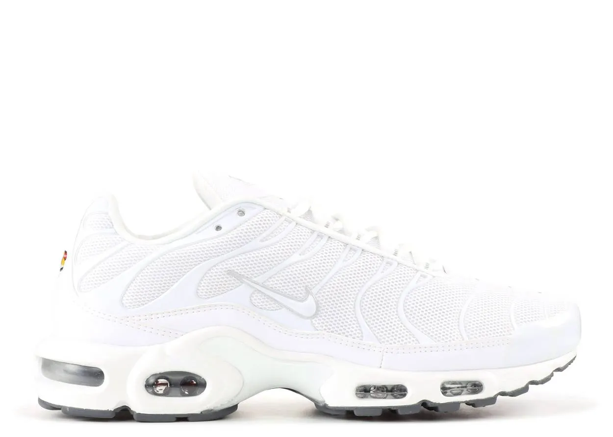 Nike Air Max Plus White (WORN)