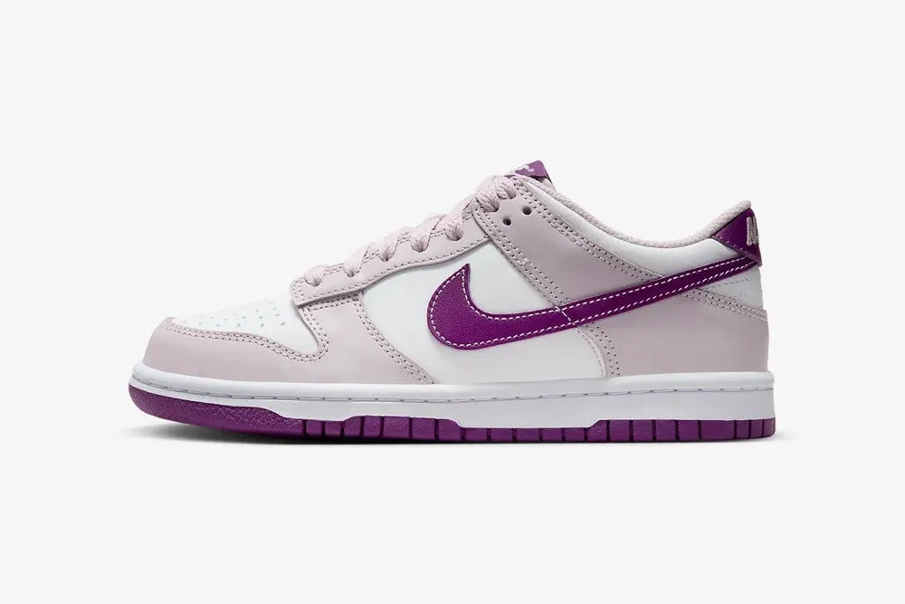 Nike SB Dunk Low GS Light Mauve Plum White Platinum Violet Viotech FB9109-104