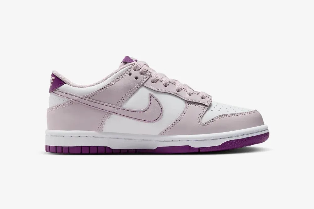 Nike SB Dunk Low GS Light Mauve Plum White Platinum Violet Viotech FB9109-104